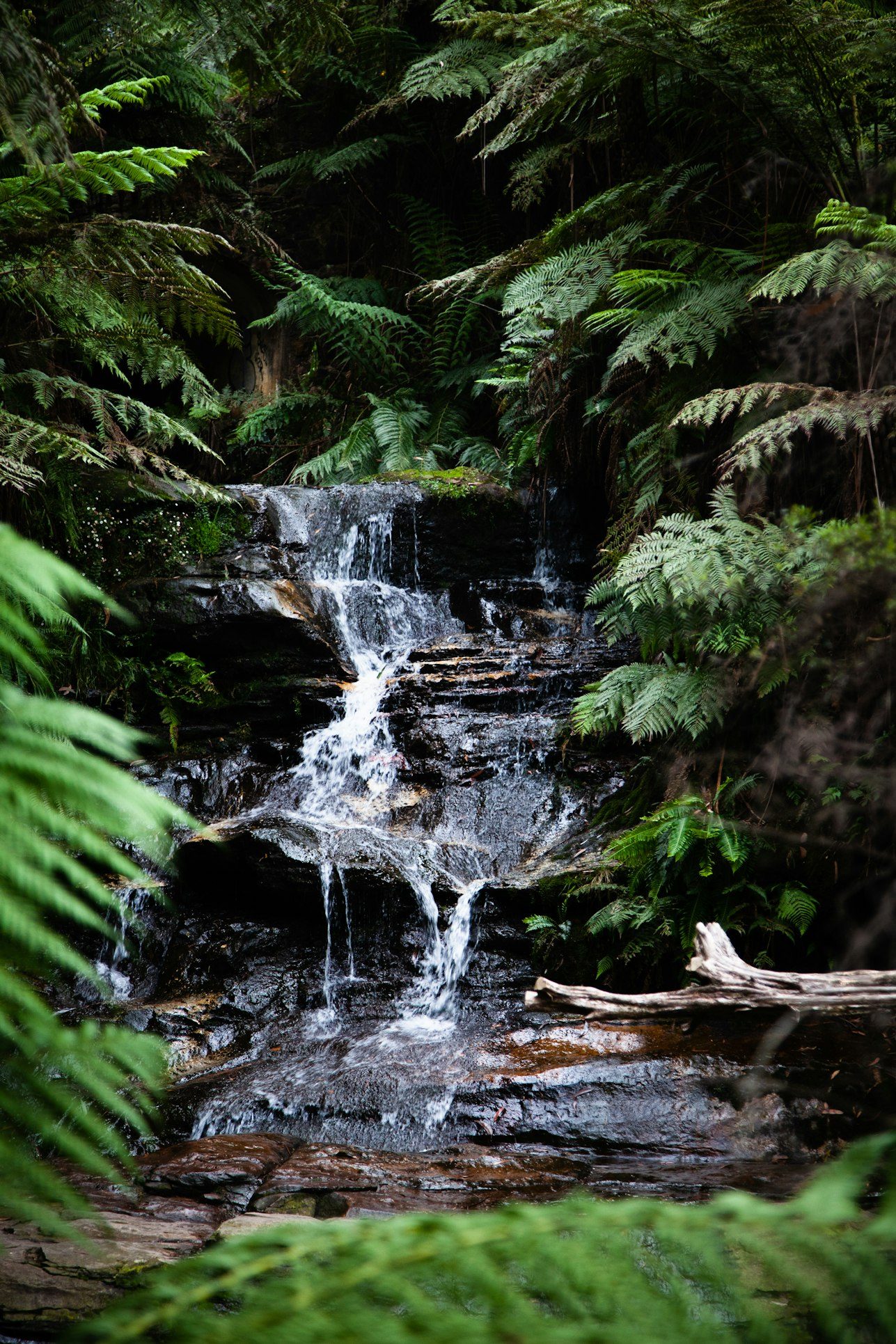 Cascade de la Fraîche à Pralognan-la-Vanoise, Savoie