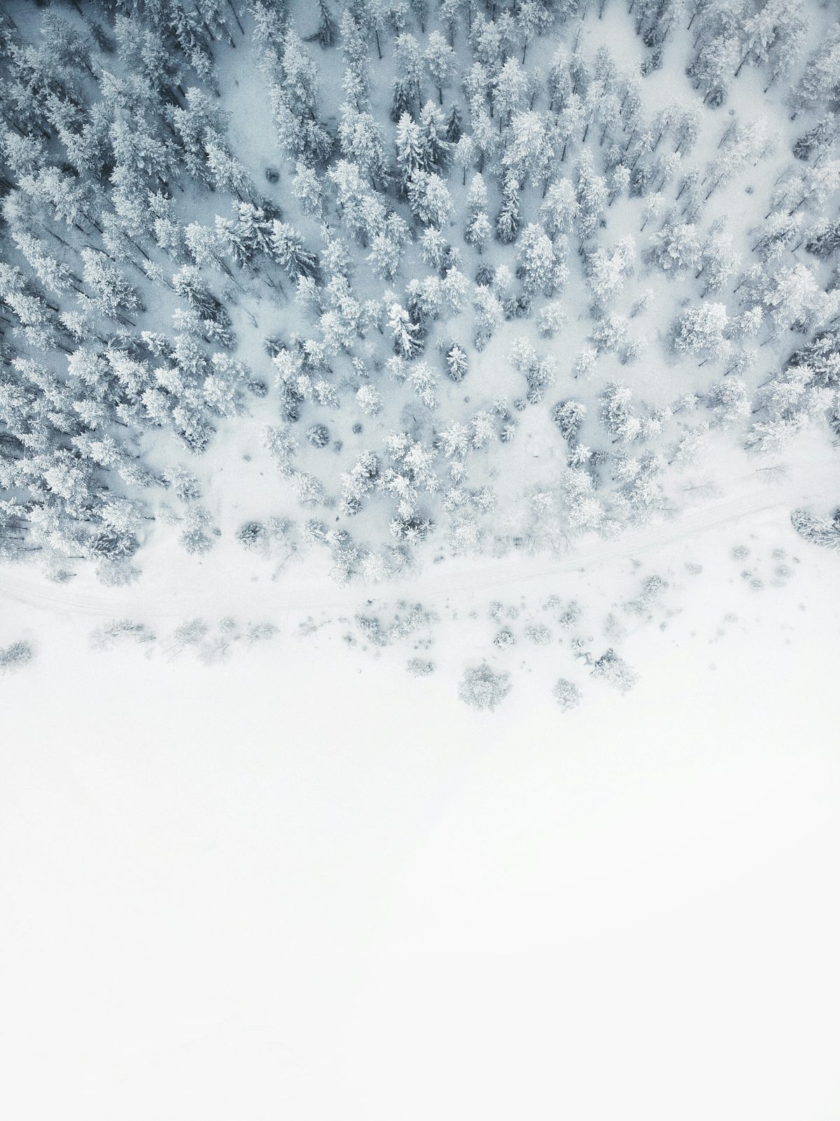 Forêt enneigée vue du ciel au-dessus de La Plagne