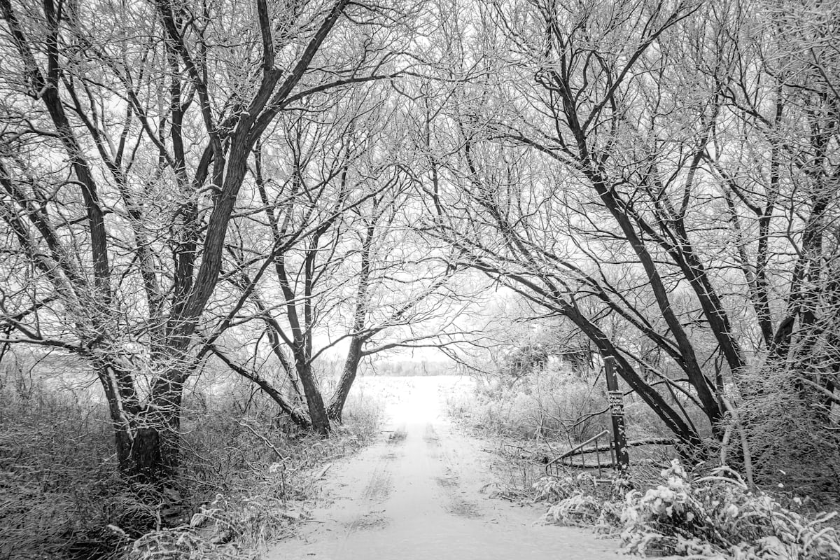 Sentier hivernal enneigé aux Saisies, Beaufortain